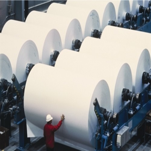 Paper And Pulp Industry