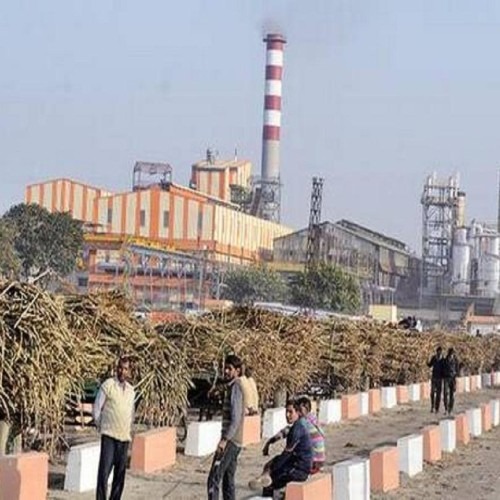 Sugar Mills